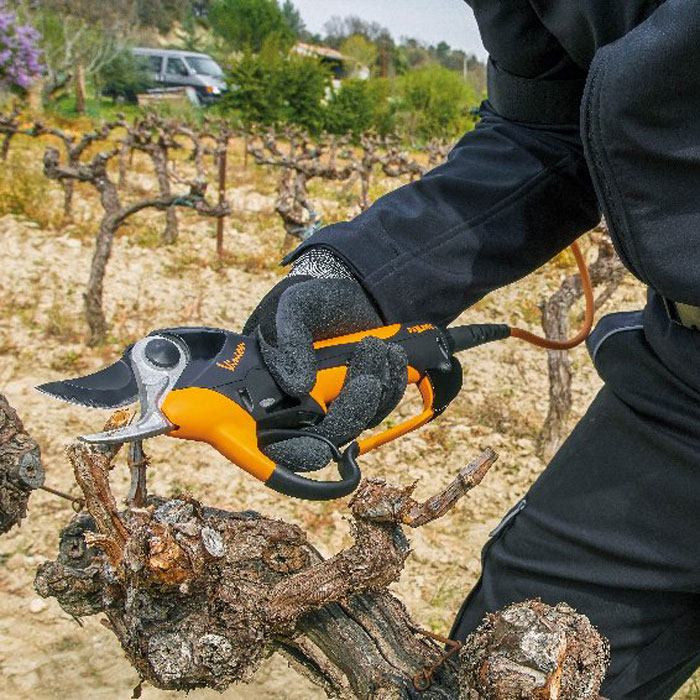Produktabbildung: Pellenc - VINION 150 inkl. Akku und Ladegerät